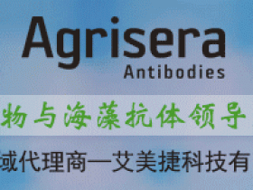 Agrisera热销产品PSII的KLH |匙孔血蓝蛋白说明书