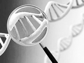 关于基因诊断技术的知识，你知道多少?