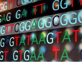 基因测序与基因芯片的异同