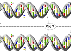 飞行时间质谱（MALDI-TOF）法SNP分析（PCR），就选TERMIPol-DNA聚合酶
