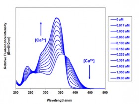钙离子荧光探针专题2——比值型荧光探针
