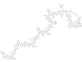 Echelon 胰岛淀粉样蛋白（1-37），人，酰胺参数说明