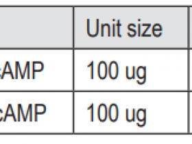 Biotium热销产品生物素-cAMP（BTM-00020）方案