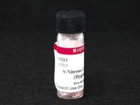 Biotium热销产品S-亚硝基谷胱甘肽BTM-00223说明书