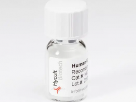 Hycult热销产品CpG-C DNA (ODN 2395), 人/小鼠, 200 nmol