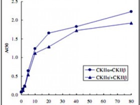 Abnova CK2激酶（人类）测定/抑制剂筛选测定试剂盒助力科研