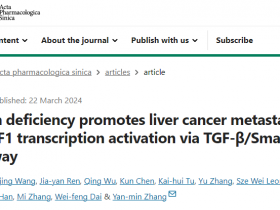 《中国药理学报》Parkin缺乏通过TGF-β/Smad2/3途径激活TMEFF1转录来促进肝癌转移