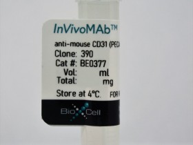 体内 MAb抗小鼠CD 31（PECAM-1）