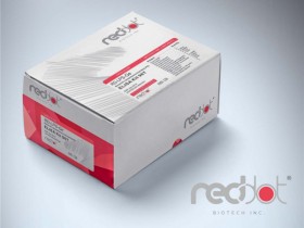 Reddot Biotech热销产品小鼠 L1 细胞粘附分子 (L1CAM) ELISA试剂盒
