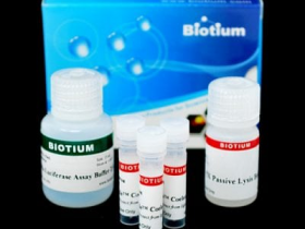 Biotium热销产品绿色-BETA-D-GAL（BTM-10015）说明书