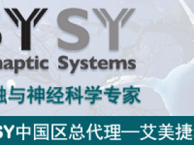 Synaptic Systems 巴松管抗体 - 141 004，助力科研