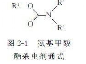 氨基甲酸酯杀虫剂的残留分析实验