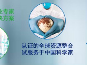 Flag标签直标抗体(HRP,Biotin,AbFluor荧光)大全