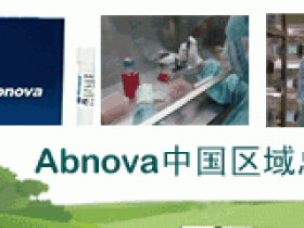 Abnova Ngf（小鼠）ELISA试剂盒精准高效