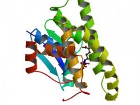 GST抗体推荐—原装进口GST标签抗体的选择