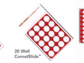 CometSlide™彗星分析专用载片与载片架