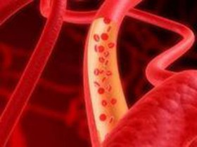 Cultrex®体外血管通透性分析试剂盒