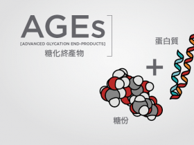 AGE-BSA—最好的晚期糖基化终末产物（AGEs）标准品