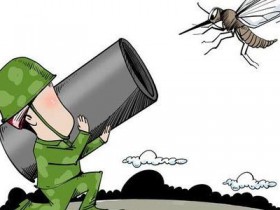 激光秒蚊虫,任性!