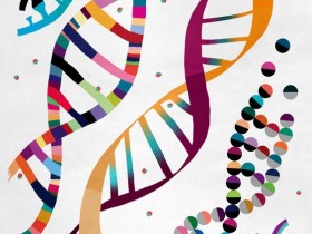 DNA分级筛选提取试剂盒—全新的DNA分离、鉴定方案
