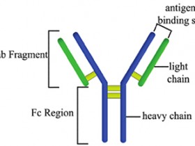 五分钟速成!二抗选择最全攻略Get