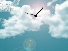 精彩收官:看我国生命科学领域研究年末的精彩绽放