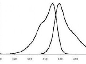 独特mStrawberry抗体-红色荧光蛋白mStrawberry标签抗体