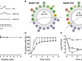 高分期刊揭示抗菌肽LL-37新用途:抗菌肽(antimicrobial peptide)产品推荐