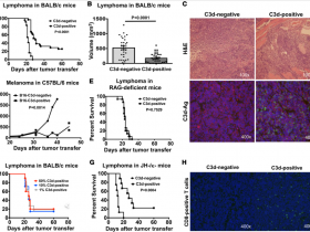 C3d补体系统研究推荐:补体系统或成为新的肿瘤治疗靶标