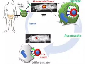 细胞免疫疗法新进展