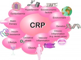 高性能C反应蛋白(CRP)ELISA试剂盒,让检测更高效!