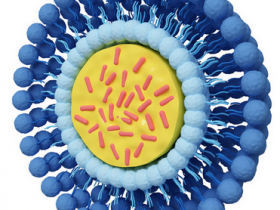 人NGAL ELISA试剂盒,连续5年全球销量前十,品质有保障。