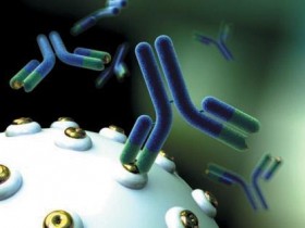 小分子半抗原抗体制备方法简述