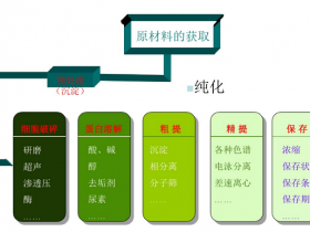 蛋白质分离纯化的一般程序