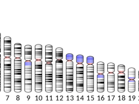 人源CD99 ELISA抗体对(Antibody pair):商品化文章验证