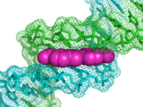 DAPI荧光染料-最具性价比的DNA染料，了解一下