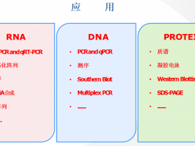 RNA/DNA/蛋白质三合一提取试剂盒