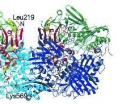 黄嘌呤氧化酶(XO)检测的意义