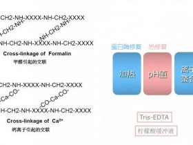 【实用篇】抗原修复原理和方法