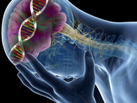 Cell&Nature:血清素相关研究最新进展