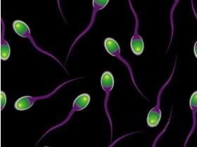 表观遗传学新发现-男性童年生活经历会影响后代!