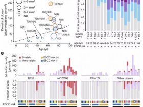 《Nature》:风险因子加速突变细胞扩张会造成什么影响?