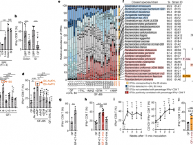 生物评论周报第67期:Nature:诱导CD8 T细胞的11株肠道菌,或能强化癌症治疗