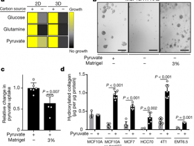 生物评论周报69期:Nature:数十万篇论文结果难重复,其原因被发现