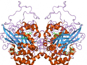 过氧化氢酶 (CAT) 活性分析试剂盒,汇集高准确性、特异性和超优性价比,就想给你独特惊喜!
