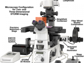 随机光学重建显微镜（STORM）技术解读