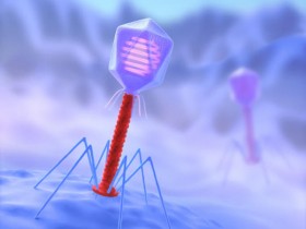 生物科学领域游戏规则的改变者——CRISPR，有哪些应用技术？
