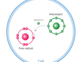 常见的抗氧化剂有哪些?
