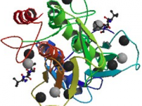 基质金属蛋白酶9(MMP-9)的功能有哪些？