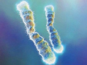 延缓衰老?端粒酶与“长生不老”之间的神秘联系